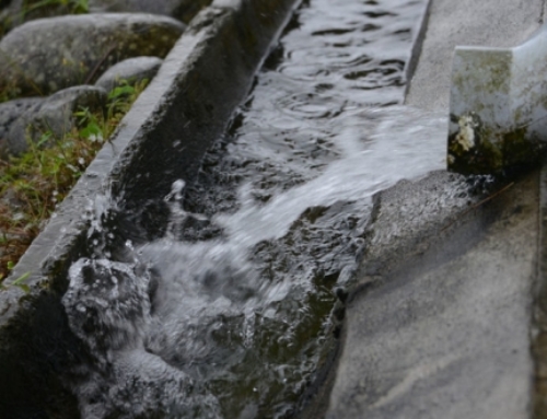 Falta una normativa eficiente para la adecuada regulación del agua en Costa Rica
