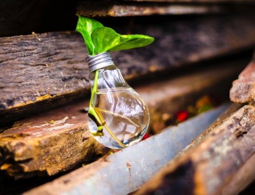 Tecnología e innovación para llevar agua y saneamiento a todos en América Latina y el Caribe